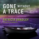 Gone without a Trace Audiobook