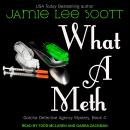 What A Meth Audiobook