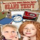 Grand Theft: Crime Solver's Detective Agency book two Audiobook