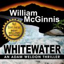 Whitewater: A Thriller
