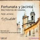 Fortunata y Jacinta, parte primera Audiobook