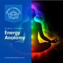 Energy Anatomy Audiobook