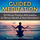 Guided Meditation: 30 Minute Positive Affirmations Hypnosis to Attract Wealth & Real Abundance Audiobook