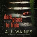 Dark Place to Hide Audiobook