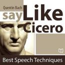 Say Like Cicero. Best Speech Techniques Audiobook