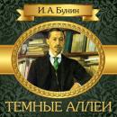 Dark Avenues [Russian Edition] Audiobook