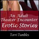 An Adult Theater Encounter Erotic Stories Audiobook