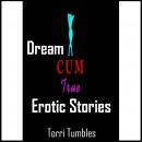Dreams Come True Erotic Stories Audiobook