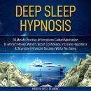 Deep Sleep Hypnosis: 30 Minutes of Positive Affirmations to Attract Money, Wealth, & Success While Y Audiobook