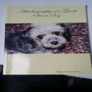 Autobiography of a Greek Street Dog Audiobook