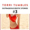 Outragous Erotic Stories #3 Audiobook