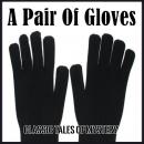 A Pair Of Gloves Audiobook