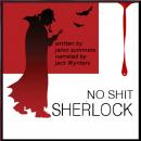 No Shit Sherlock Audiobook