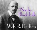 The Souls of Black Folk Audiobook