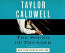 The Sound of Thunder: The Great Novel of a Man Enslaved by Passion and Cursed by His Own Success Audiobook