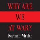 Why Are We at War? Audiobook