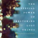 The Special Power of Restoring Lost Things Audiobook