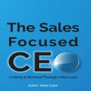 The Sales Focused CEO:: Looking at Business Through a New Lens Audiobook