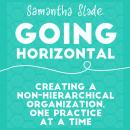 Going Horizontal: Creating a Non-Hierarchical Organization, One Practice at a Time Audiobook