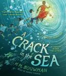A Crack in the Sea Audiobook
