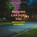 Nothing Can Hurt You Audiobook