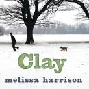 Clay Audiobook