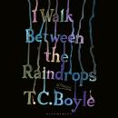 I Walk Between the Raindrops Audiobook