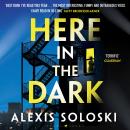 Here in the Dark Audiobook