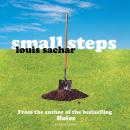 Small Steps Audiobook