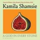 A God in Every Stone Audiobook