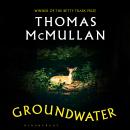 Groundwater: ‘Complex, chilling, masterful' Financial Times Audiobook