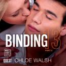 Binding 13: Part Two Audiobook