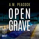 Open Grave Audiobook