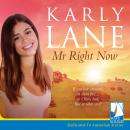 Mr Right Now Audiobook