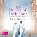 The Nurses of Lark Lane: Lark Lane 3 Audiobook