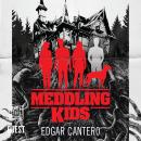 Meddling Kids Audiobook