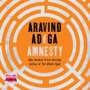 Amnesty Audiobook