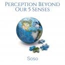 Perception Beyond Our 5 Senses Audiobook