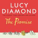 The Promise Audiobook