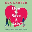 How To Save A Life Audiobook