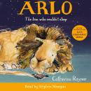 Arlo The Lion Who Couldn't Sleep Audiobook