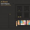 A Shock Audiobook