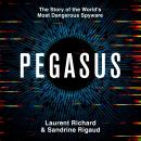 Pegasus: The Story of the World's Most Dangerous Spyware Audiobook