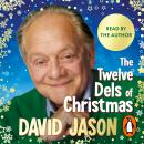 The Twelve Dels of Christmas: My Festive Tales from Life and Only Fools Audiobook