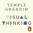 The Visual Thinking: The Hidden Gifts of People Who Think in Pictures, Patterns and Abstractions Audiobook