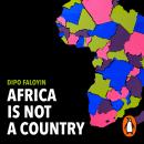 Africa Is Not a Country: Breaking Stereotypes of Modern Africa Audiobook