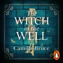 The Witch in the Well: A deliciously disturbing Gothic tale of a revenge reaching out across the yea Audiobook