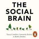 The Social Brain: The Psychology of Successful Groups Audiobook