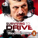 Surviving to Drive: The No.1 Sunday Times bestseller as seen on Netflix’s Drive to Survive Audiobook