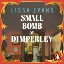 The Small Bomb At Dimperley Audiobook
